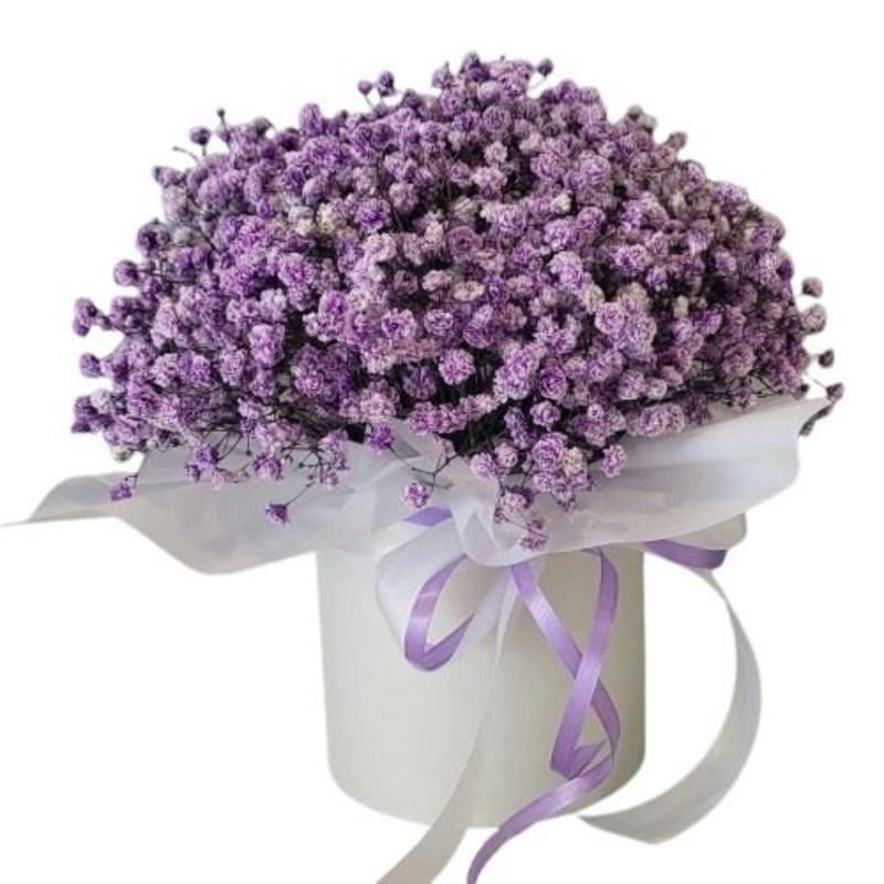 Lavender Gypsophila Box-Extra Small (10 stems) & Small (15 stems) & Medium (20 stems) & Regular (25 stems) & Large (30 stems) & Extra Large (40 stems) & Luxury (55 stems) & Glamour (70 stems) & Exclusive Glamour (100 stems) & Premium (120 stems) & Posh (1