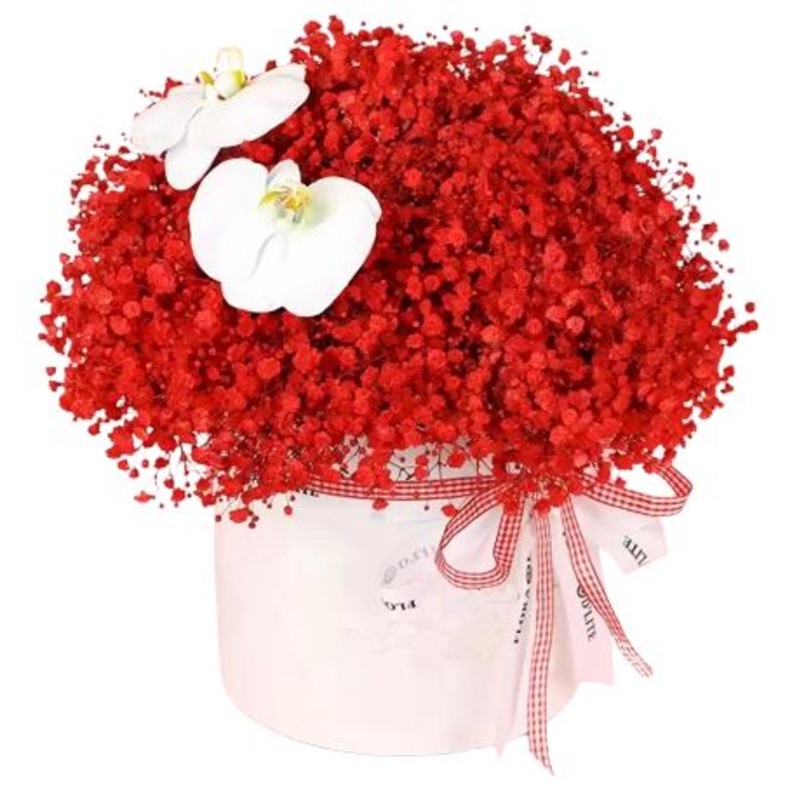 Love Box of Gypsophila with Orchids Accent