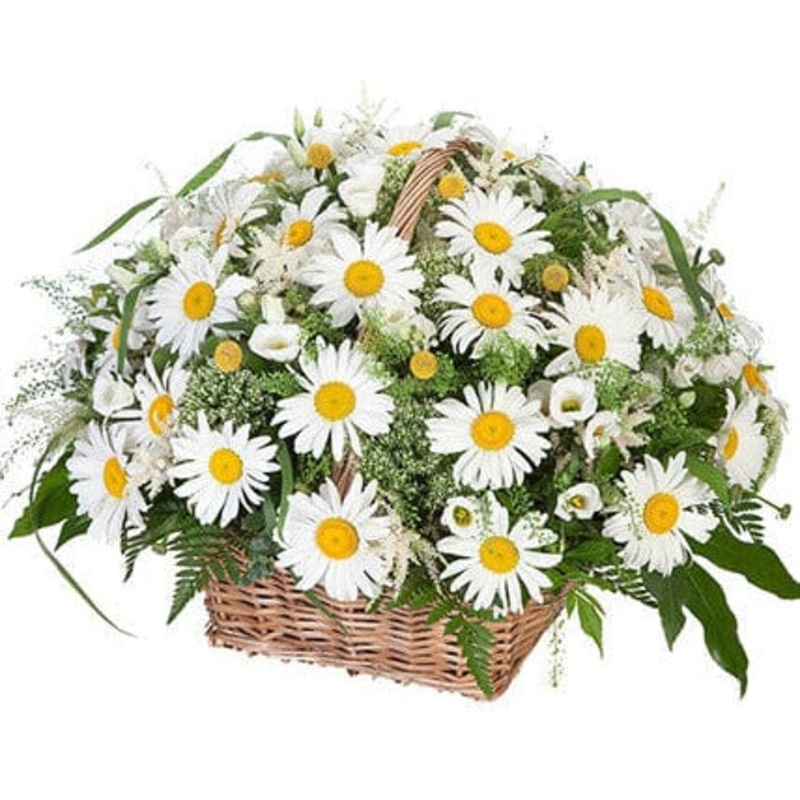 Lovely Basket of Daisy and Lisianthus