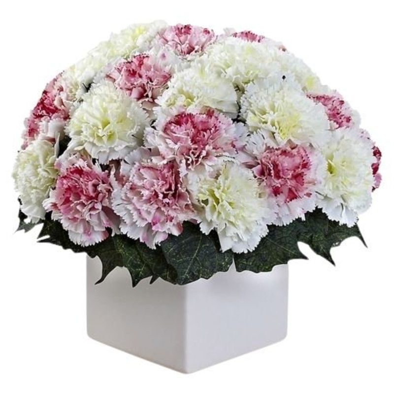 Lovely Box of Carnations-Small (20 stems) & Regular (30 stems) & Large (40 stems) & Extra Large (50 stems) & Luxury (60 stems) & Glamour (80 stems) & Exclusive Glamour (100 stems) & Premium (120 stems) & Premium Extra (160 stems)-Pink and White Carnations
