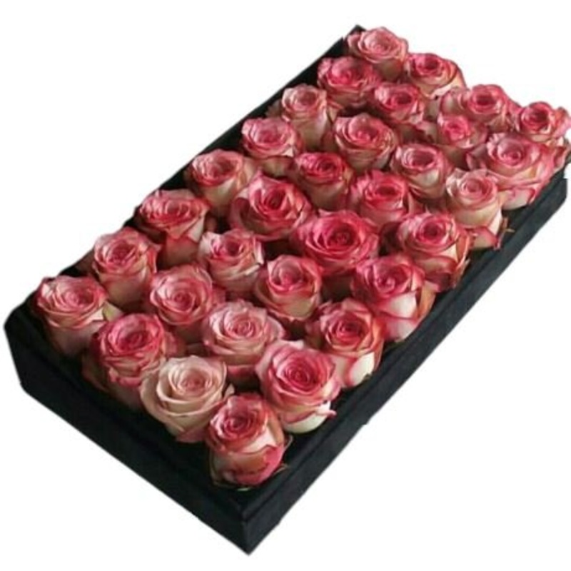 Luxury Box of Red Blush Roses-Extra Small (20 stems) & Small (32 stems) & Regular (45 stems) & Medium (55 stems) & Large (70 stems) & Extra Large (85 stems) & Luxury (100 stems) & Glamour (120 stems) & Exclusive Glamour (140 stems) & Premium (160 stems) &