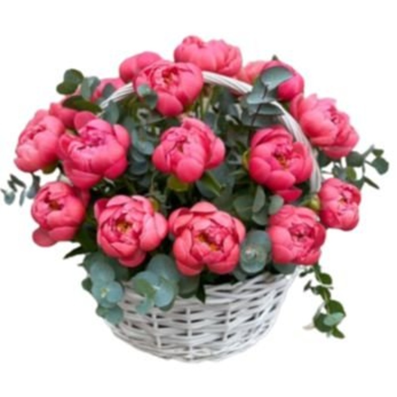 Luxury Coral Peonies with Eucalyptus Basket