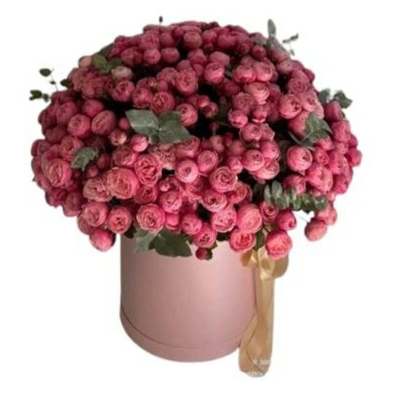 Luxury Coral Spray Roses Box-Regular (10 stems) & Large (15 stems) & Extra Large (20 stems) & Luxury (25 stems) & Glamour (30 stems) & Exclusive Glamour (40 stems) & Premium (50 stems) & Premium Extra (65 stems) & Premium Plus (80 stems) & Posh (100 stems