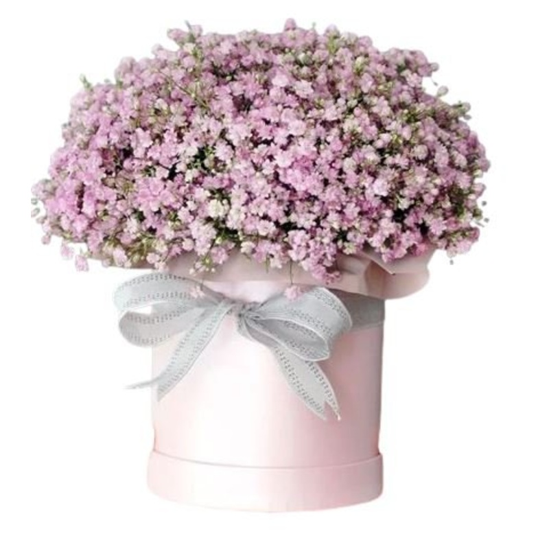 Pastel Pink Gypsophila Box-Extra Small (10 stems) & Small (15 stems) & Medium (20 stems) & Regular (25 stems) & Large (30 stems) & Extra Large (40 stems) & Luxury 60 stems) & Glamour (80 stems) & Exclusive Glamour (100 stems)-Hat Box & Heart Box & Square