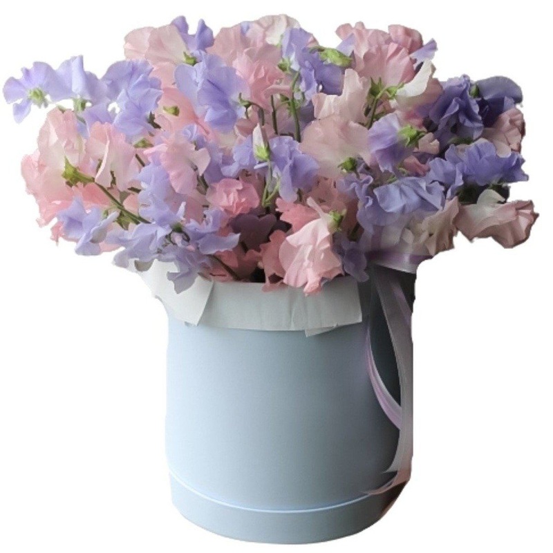Pink and Lavender Sweet Pea Box