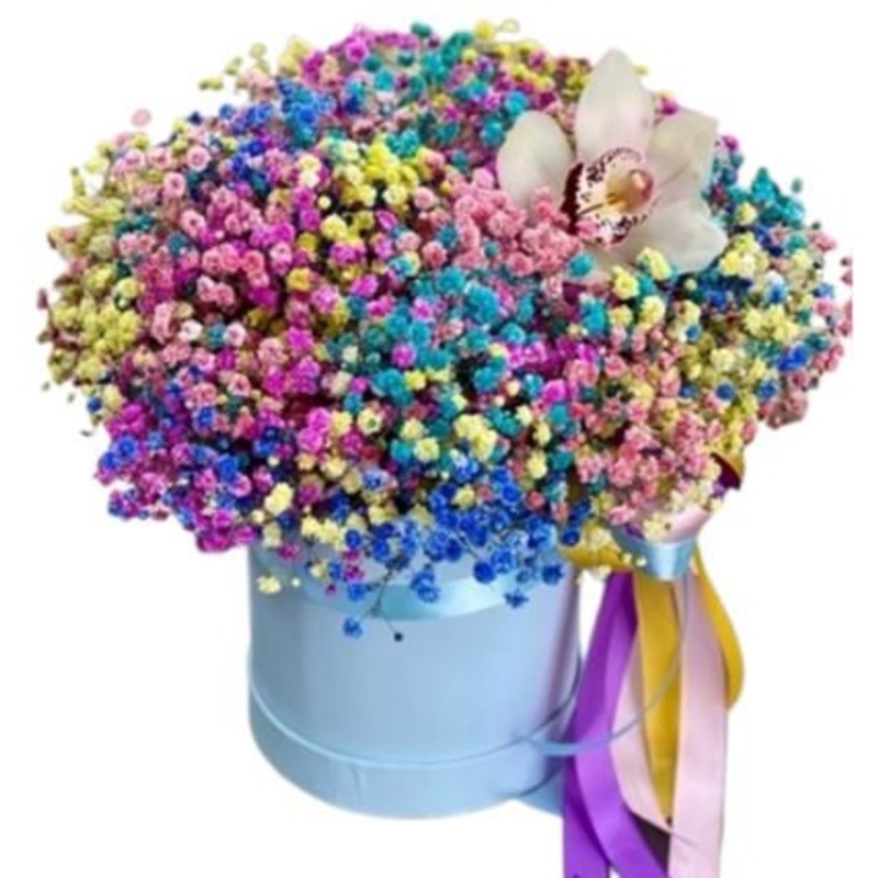 Rainbow Gypsophila Box with Cmbidium Orchids Accent