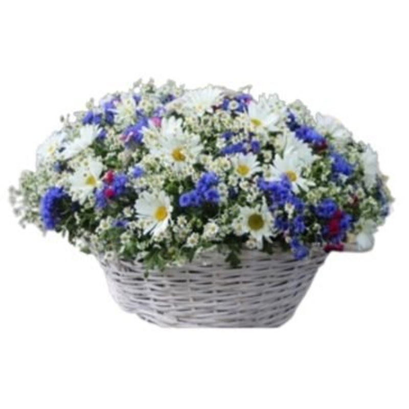 Spring in the Air Flowers Basket