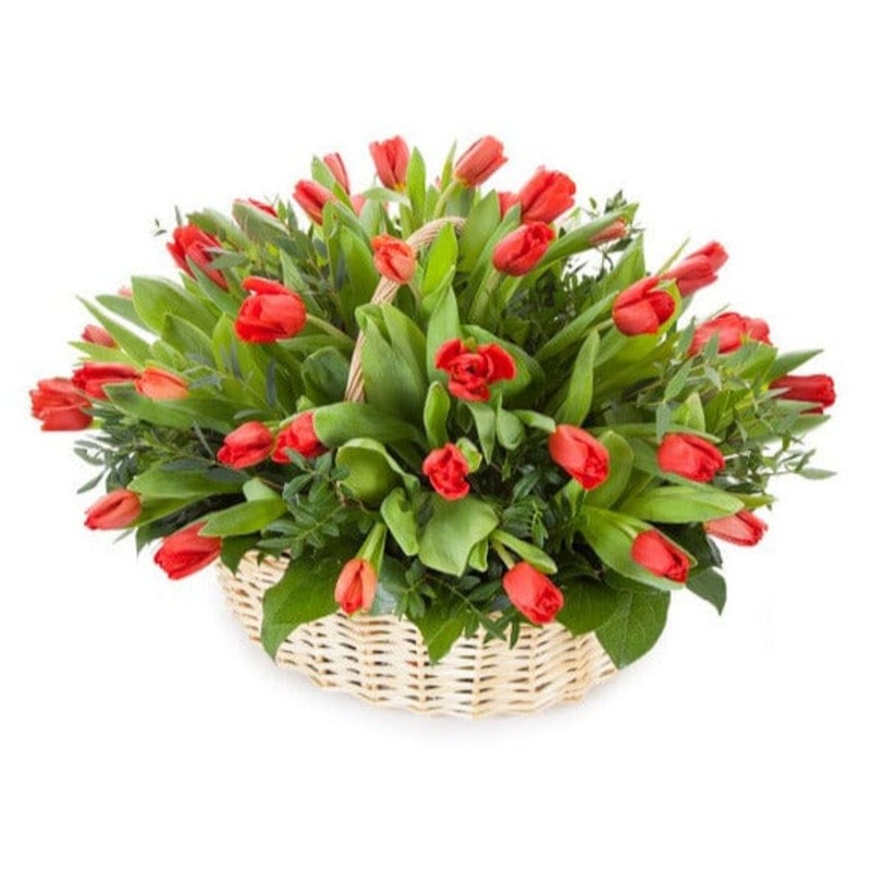 Tulips with Greenery Basket-Extra Small (20 stems) & Small (30 stems) & Medium (45 stems) & Regular (60 stems) & Large (75 stems) & Extra Large (90 stems) & Luxury (100 stems) & Glamour (120 stems) & Exclusive Glamour (150 stems) & Premium (170 stems) & P