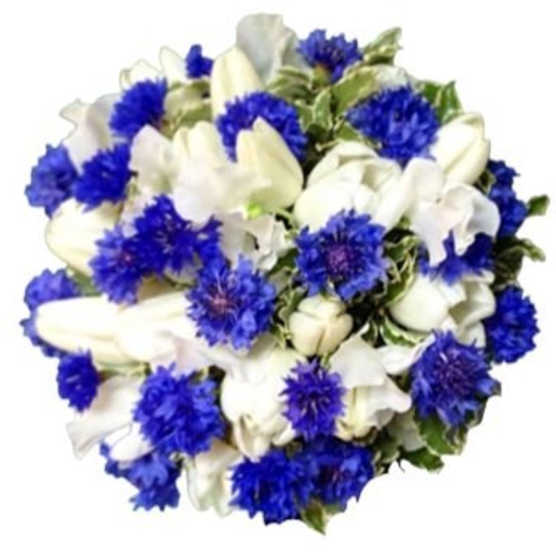 White Tulips and Cornflowers Bouquet