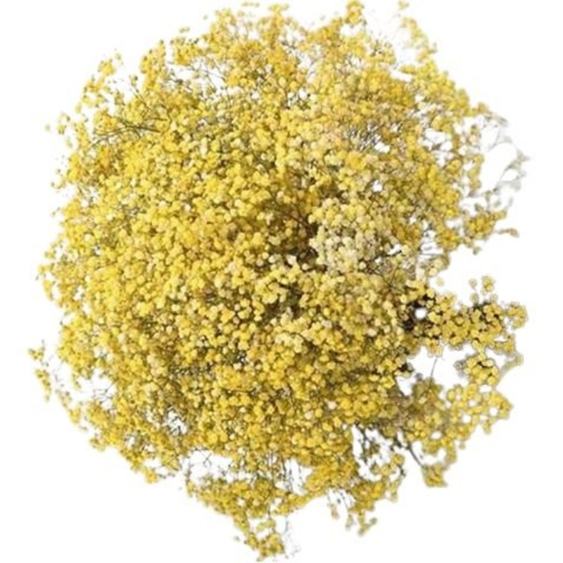 Yellow Gypsophila Bouquet-Extra Small (5 stems) & Small (10 stems) & Medium (15 stems) & Regular (25 stems) & Large (35 stems) & Extra Large (50 stems) & Luxury (70 stems) & Glamour (85 stems) & Exclusive Glamour (100 stems)