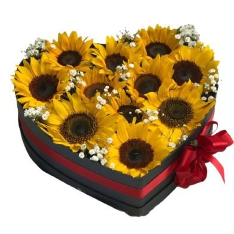 Amazing Box of Sunflowers with Gypsophila