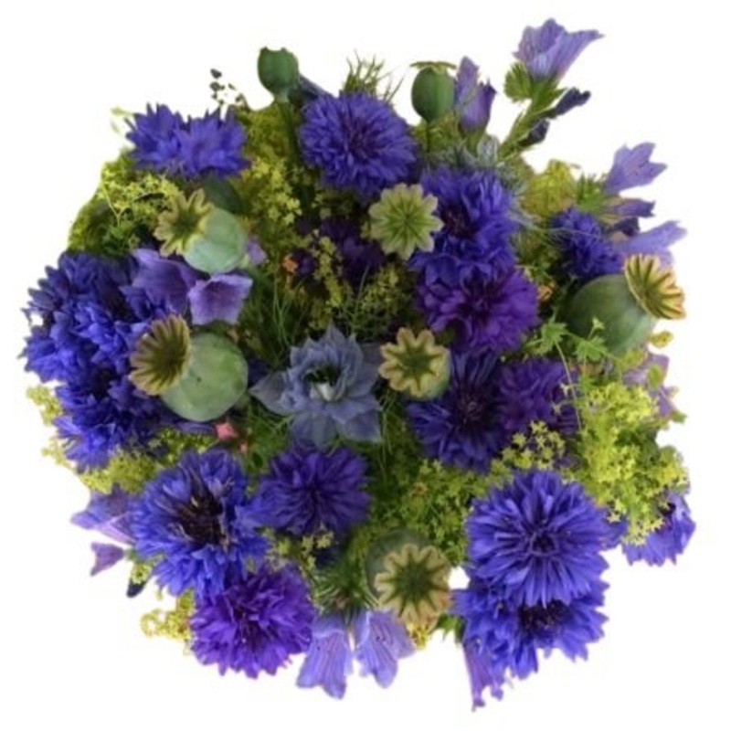 Bouquet of  Cornflowers and Poppy Seed Pods