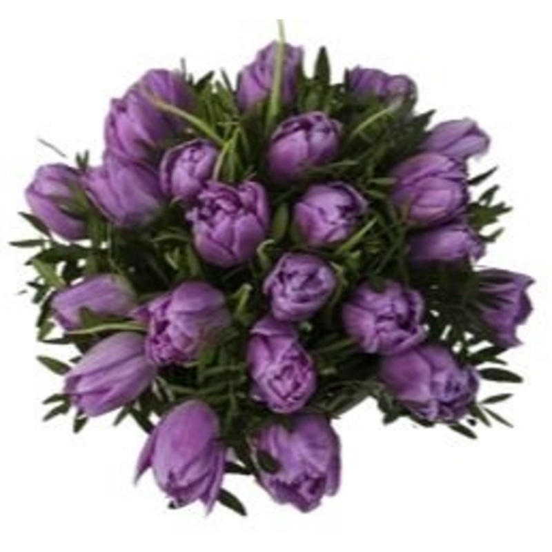 Bouquet of Purple Double Tulips with Greenery