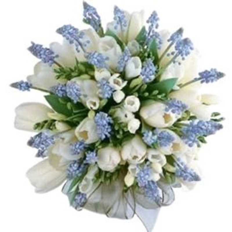 Bouquet of Tulips and Freesias with Blue Muscari