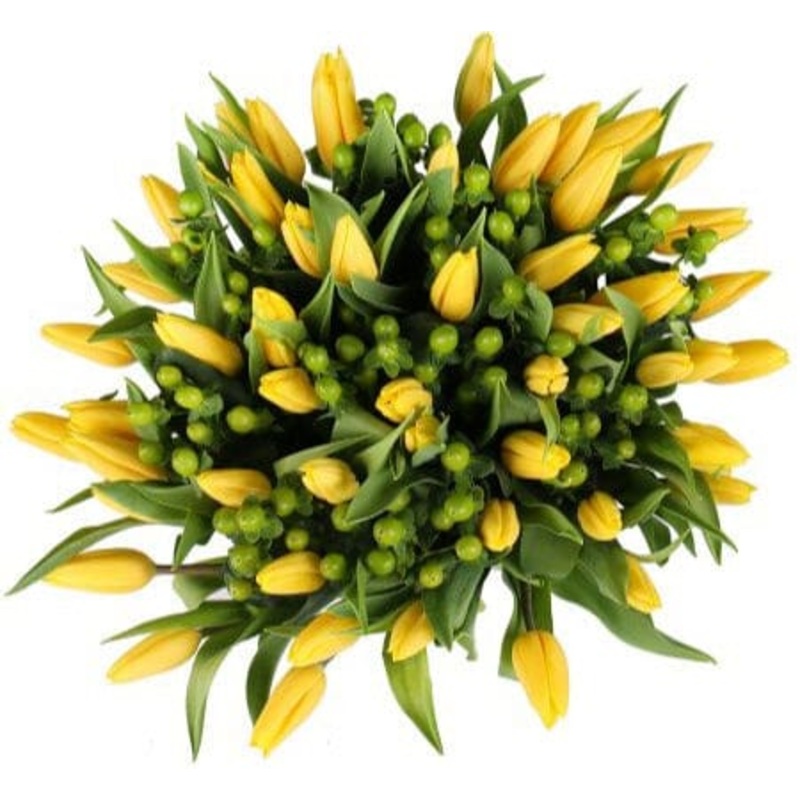 Bouquet of Tulips with Green Hypericum