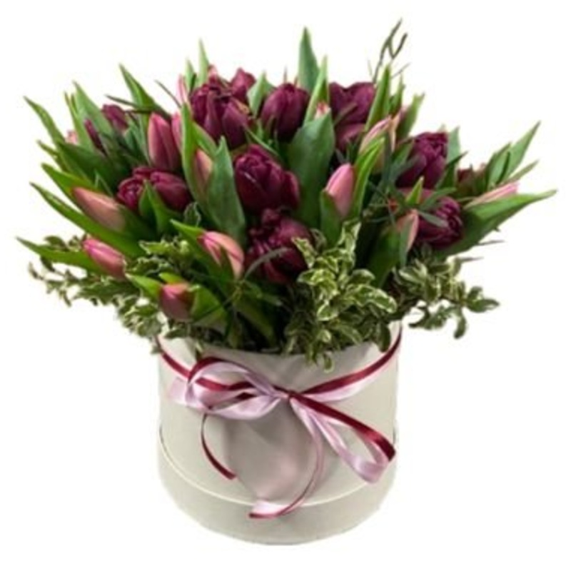Burgundy and Pink Rafined Tulips in Box