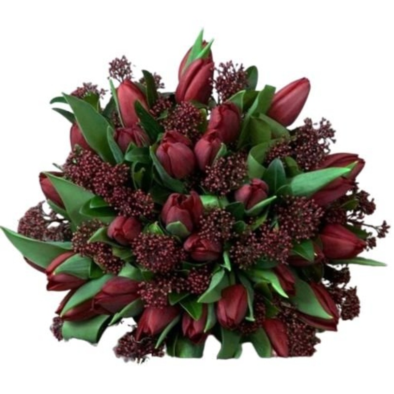 Burgundy Bouquet of Tulips and Skimmia