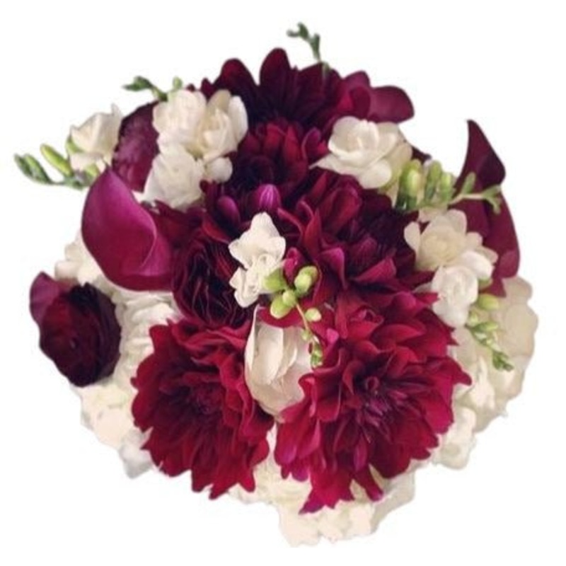 Charming Burgundy Dahlia with White Bouquet
