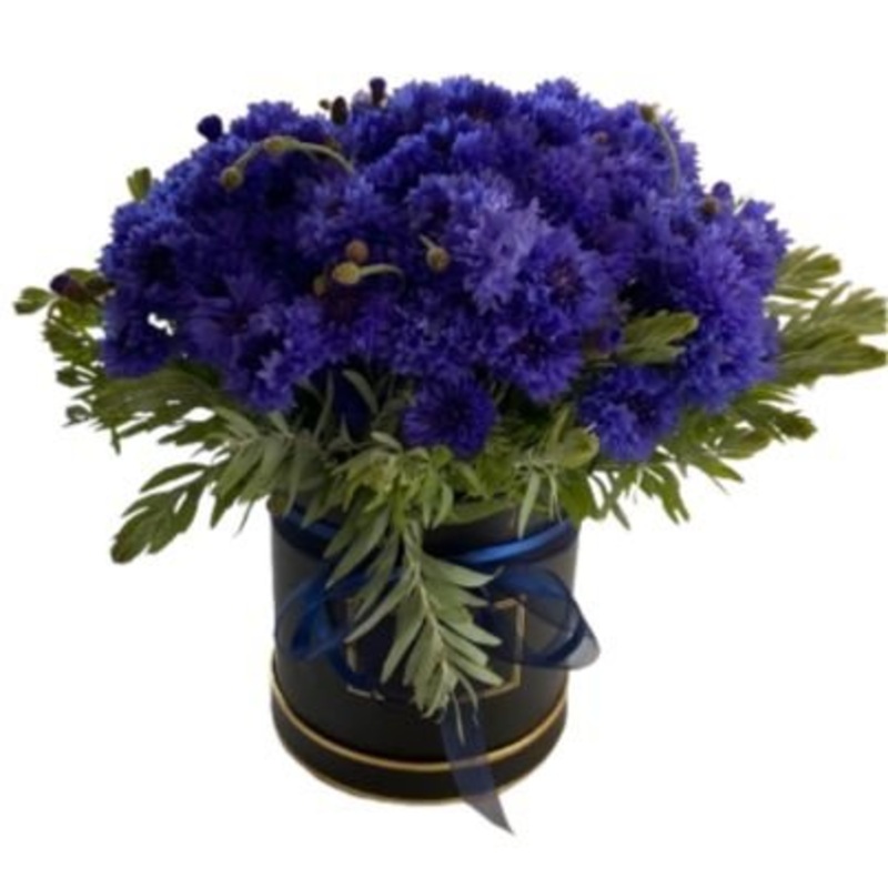 Cornflowers with Greenery in Box
