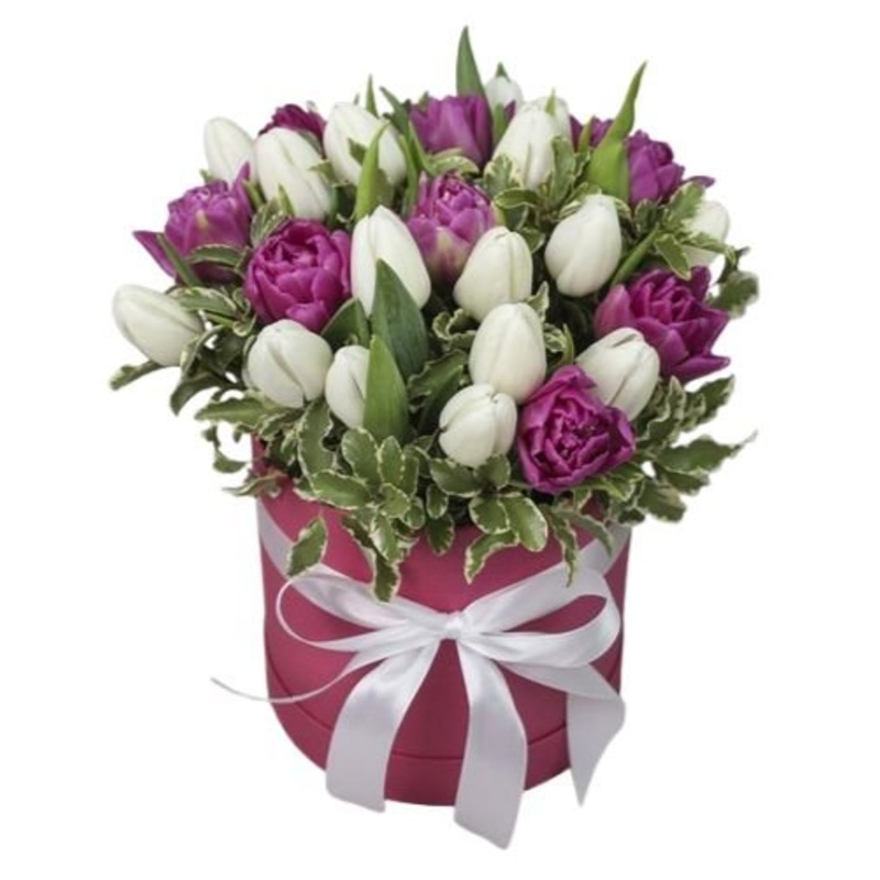 Cute Duo Tulips with Greenery in Box