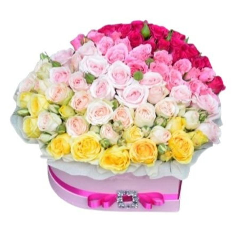 Gradient Box of Spray Roses-Small (20 stems) & Medium (30 stems) & Regular (40 stems) & Large (50 stems) & Extra Large (60 stems) & Luxury (80 stems) & Glamour (100 stems) & Exclusive Glamour (120 stems) & Premium (140 stems) & Premium Extra (160 stems) &