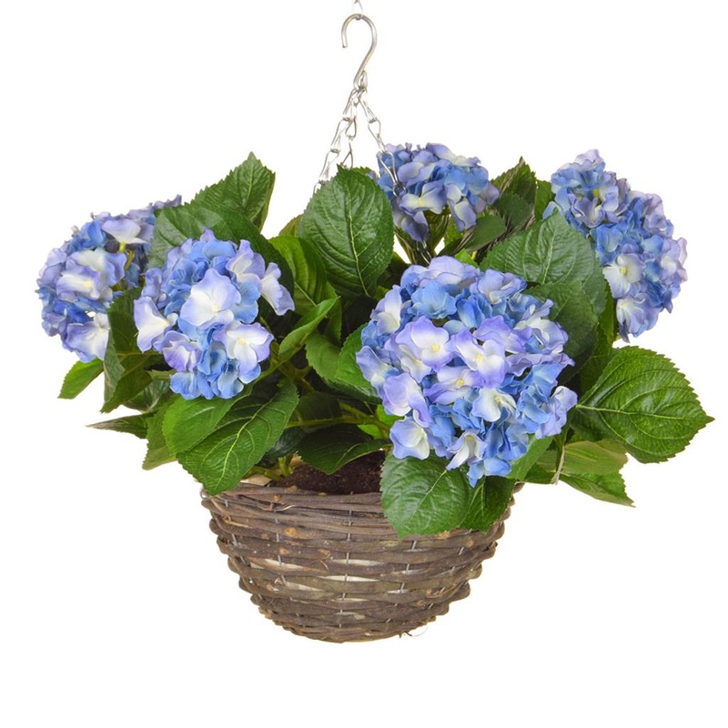Hydrangea Hanging Basket-Regular (2 plant) & Large (3 plant) & Luxury (4 plant) & Glamour (5 plant)-Blue Hydrangea & White Hydrangea & Pink Hydrangea & Light Pink Hydrangea & Purple Hydrangea & Green Hydrangea & Red Hydrangea