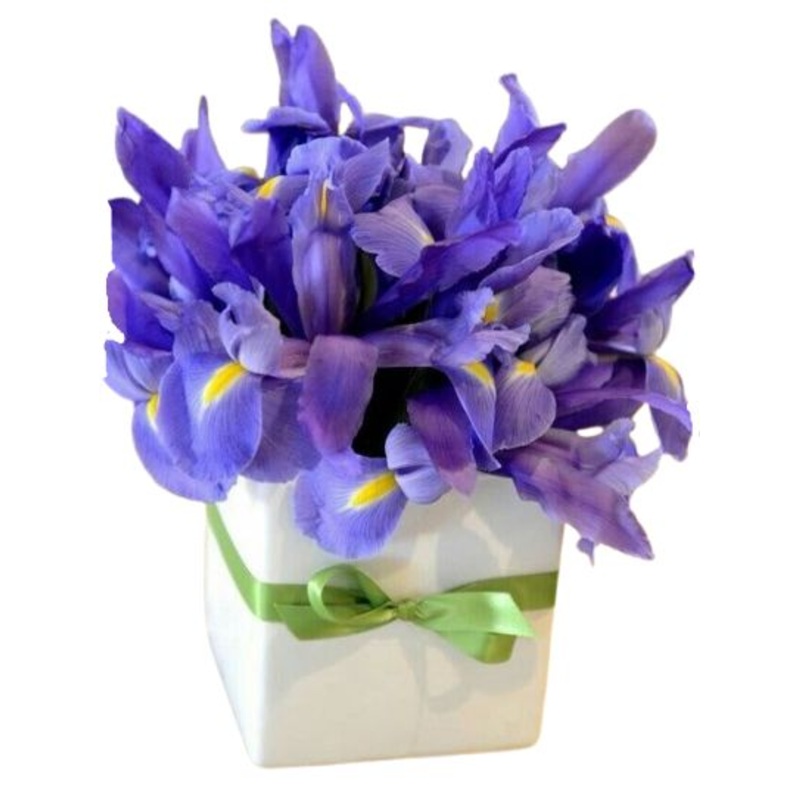 Lovely Box of Irises-Small (10 stems) & Medium (15 stems) & Regular (20 stems) & Large (25 stems) & Extra Large (30 stems) & Luxury (35 stems) & Glamour (40 stems) & Exclusive Glamour (50 stems) & Premium (60 stems) & Premium Extra (80 stems) & Posh (100