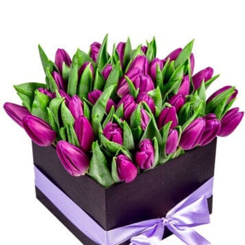 Lovely Purple Tulips in Box-Small (25 stems) & Mediuam (30 stems) & Regular (40 stems) & Large (50 stems) & Extra Large (60 stems) & Luxury (80 stems) & Glamour (101 stems) & Exclusive Glamour (125 stems) & Premium (150 stems) & Premium Extra (175 stems)