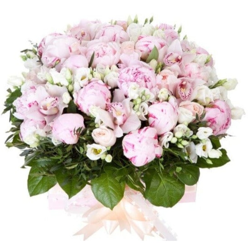 Luxury Box of Peonies with Lisianthus
