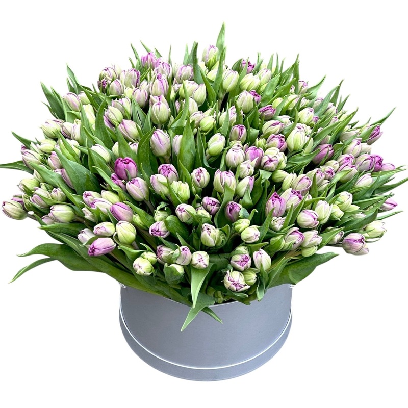 Luxury Double Tulips in a Box-Small (30 stems) & Large (40 stems) & Luxury (50 stems) & Exclusive Glamour (80 stems) & Premium (100 stems) & Premium Plus (150 stems) & Deluxe (200 stems)-Purple Tulips & White Tulips & Pink Tulips & Orange Tulips-GRAY BOX