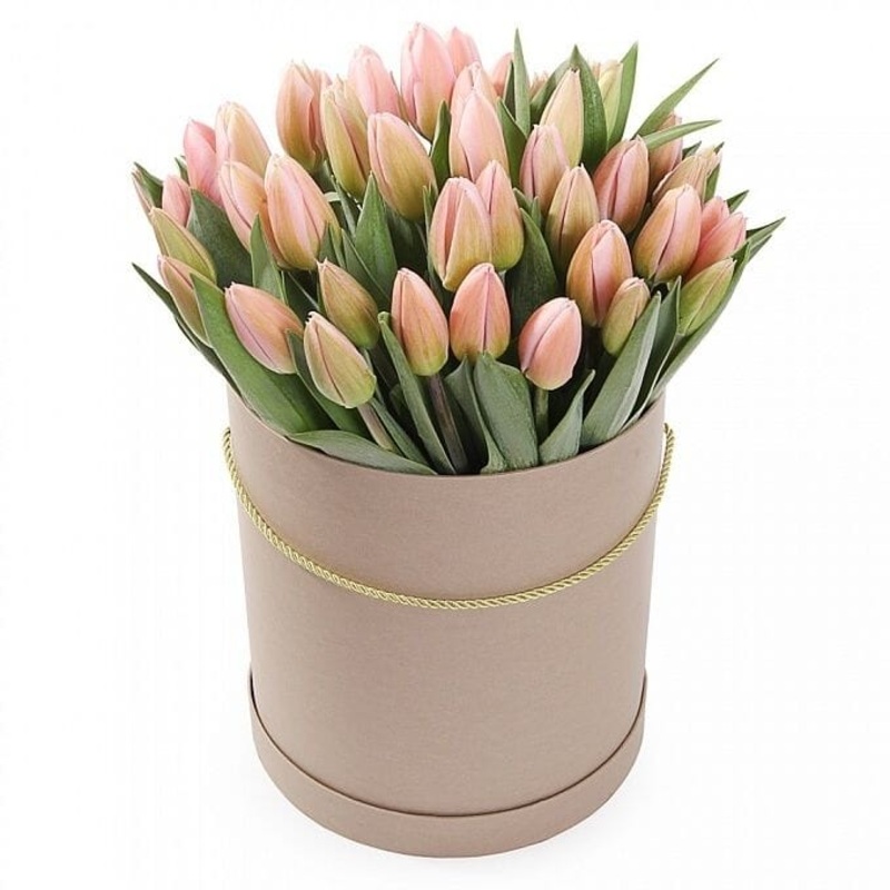Pastel Pink Tulips in a Box-Small (15 stems) & Medium (20 stems) & Regular (25 stems) & Large (30 stems) & Extra Large (40 stems) & Luxury (50 stems) & Glamour (65 stems) & Exclusive Glamour (80 stems) & Premium (100 stems) & Premium Extra (140 stems) & P