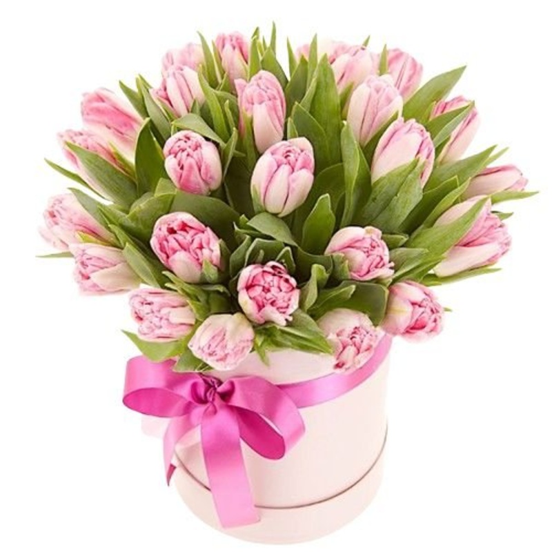 Pretty Box of Double Tulips-Extra Small (10 stems) & Small (20 stems) & Medium (25 stems) & Regular (30 stems) & Large (40 stems) & Extra Large (50 stems) & Luxury (65 stems) & Glamour (80 stems) & Exclusive Glamour (100 stems) & Premium (120 stems) & Pre