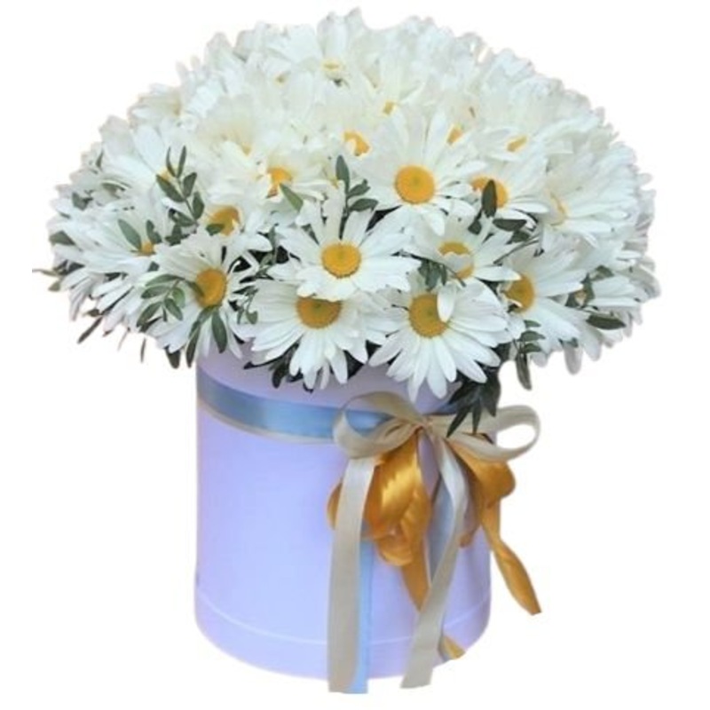 Pretty Daisy Leucanthemum with Greenery in Box