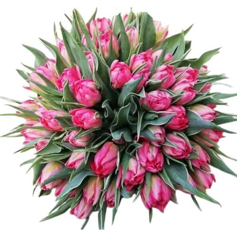Rafined Pink Blush Double Tulips Bouquet