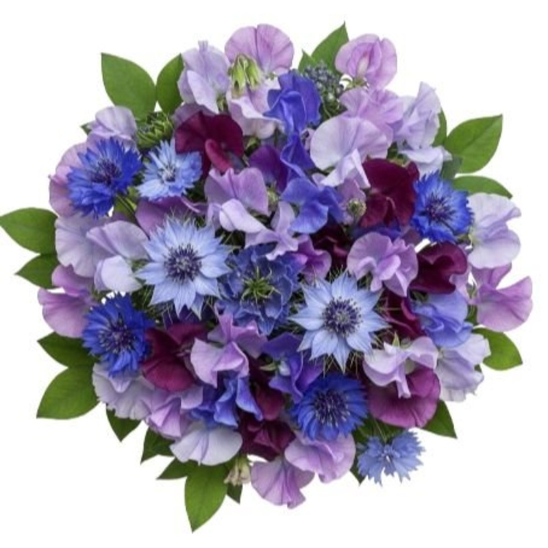 Touch of the Garden – Sweet Pea and Cornflowers Bouquet