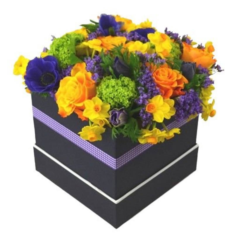 Vibrant Blooms Spring Box-Extra Small (20 stems) & Small (25 stems) & Regular (30 stems) & Medium (35 stems) & Large (45 stems) & Luxury (60 stems) & Glamour (80 stems) & Exclusive Glamour (100 stems)-Square Box & Hat Box & Heart Box-BLACK BOX & CREAM BOX