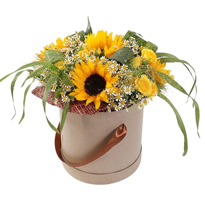 Amazing Box of Sunflowers with Daisy Tanacetum