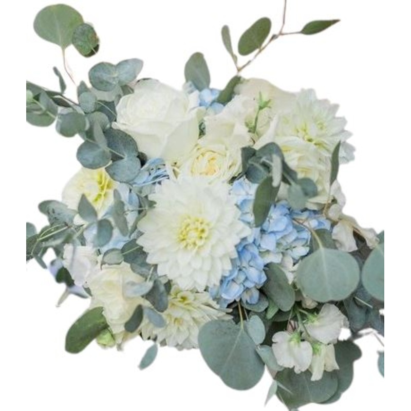 Bouquet of White Dahlia in Blue Hydrangea