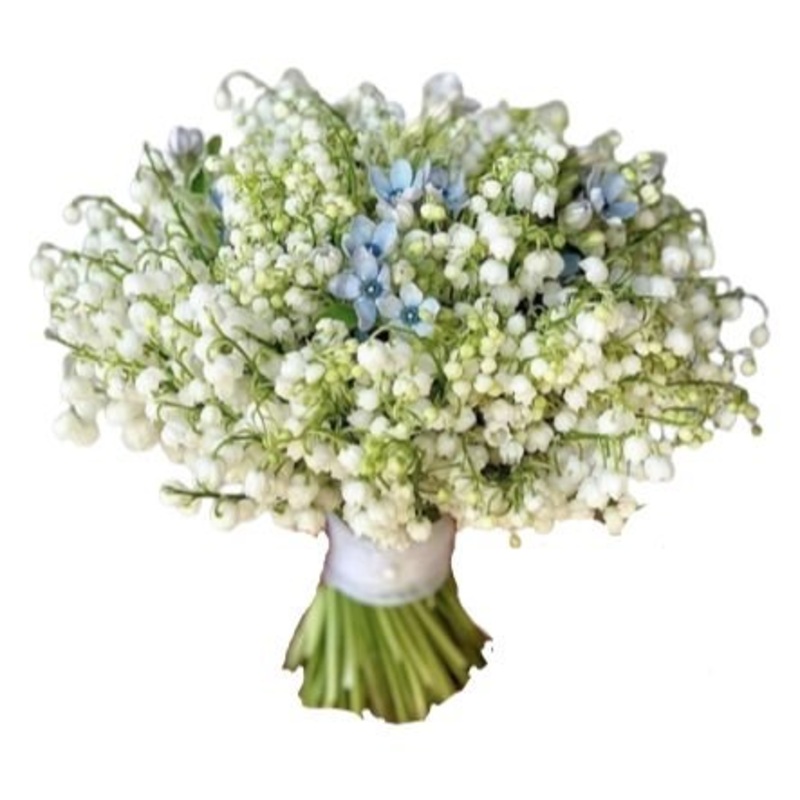 Bridal Bouquet of Lily of the Valley and Oxyetalum
