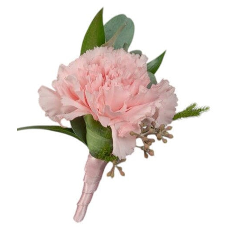 Carnations Buttonhole-Pink Carnations & White Carnations & Burgundy Carnations & Red Carnations & Green Carnations & Peach Carnations & Yellow Carnations & Cerise Carnations & Lavender Carnations