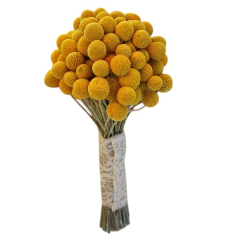 Craspedia Bridal Bouquet-Medium (25 stems) & Large (30 stems) & Luxury (35 stems) & Glamour (40 stems) & Exclusive Glamour (50 stems) & Premium (60 stems) & Posh (70 stems)