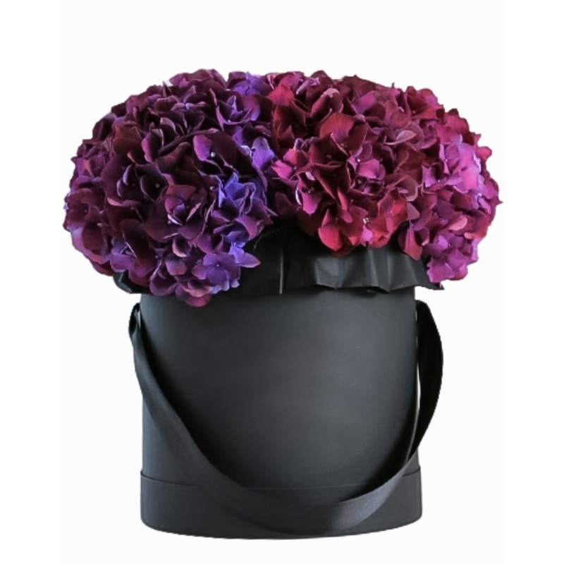 Deep Purple Hydrangea Box-Extra Small (3 stems) & Small(4 stems) & Regular (6 stems) & Large (8 stems) & Extra Large (10 stems) & Luxury (12 stems) & Glamour (15 stems) & Exclusive Glamour (20 stems) & Premium (25 stems) & Premium Extra (30 stems) & Posh