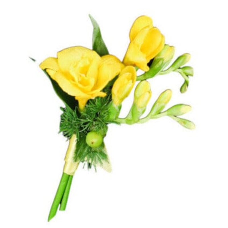 Freesias Buttonhole-Yellow Freesias & White Freesias & Pink Freesias & Purple Freesias & Red Freesias