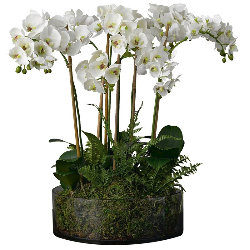 Glass Round Pot of Luxury Phaleonopsis Orchids with Assorted Plants