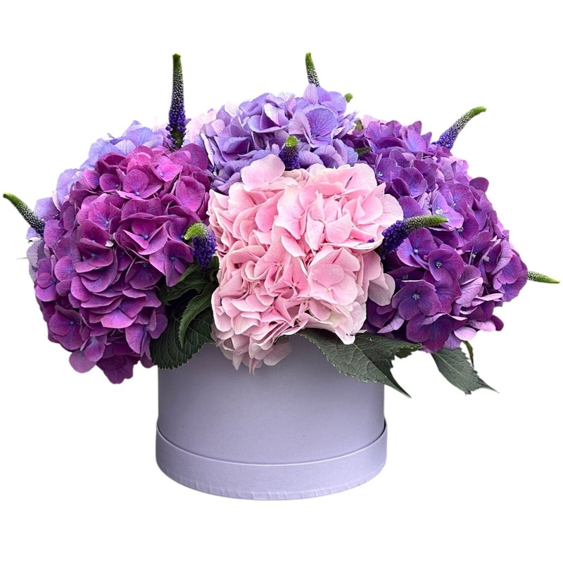 Gorgeous Box of Hydrangea with Blue Veronica