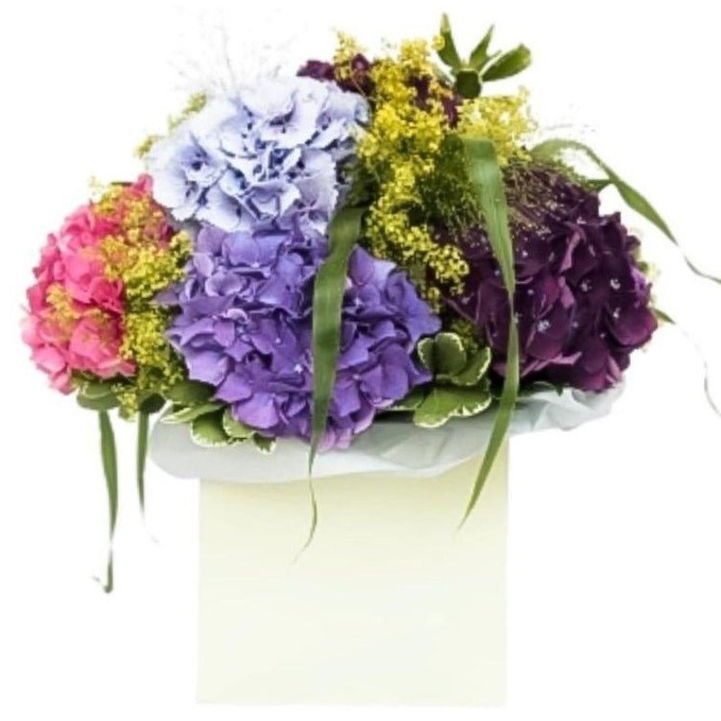 Hydrangea with Greenery Luxury Box