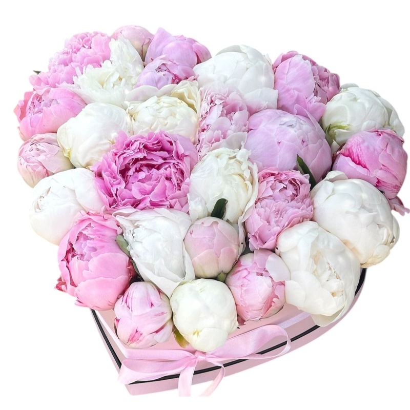 Luxury Peonies Box-Small (10 stems) & Regular (15 stems) & Large (20 stems) & Extra Large (25 stems) & Luxury (30 stems) & Glamour (40 stems) & Exclusive Glamour (50 stems) & Premium (70 stems) & Premium Extra (85 stems) & Posh (100 stems)-Pink and White