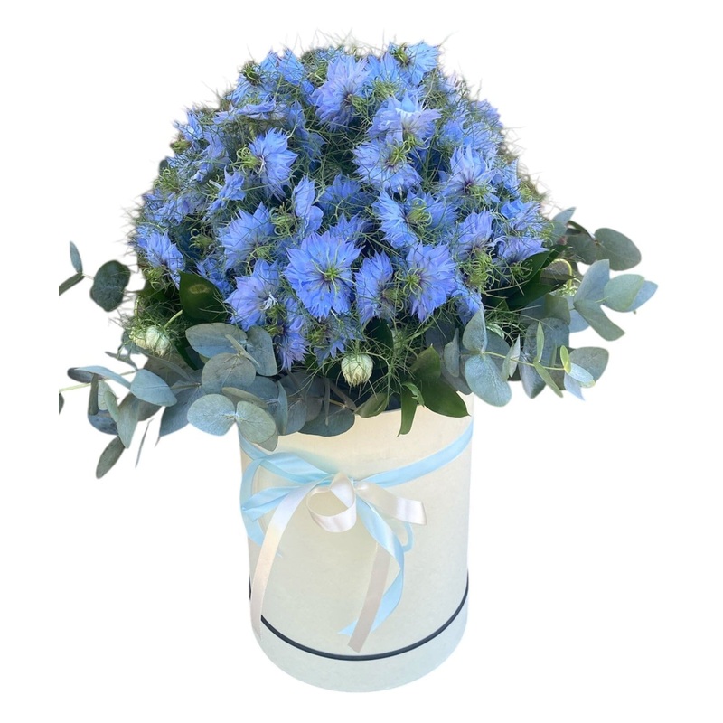 Nigella with Eucalyptus Luxury Flowers Box