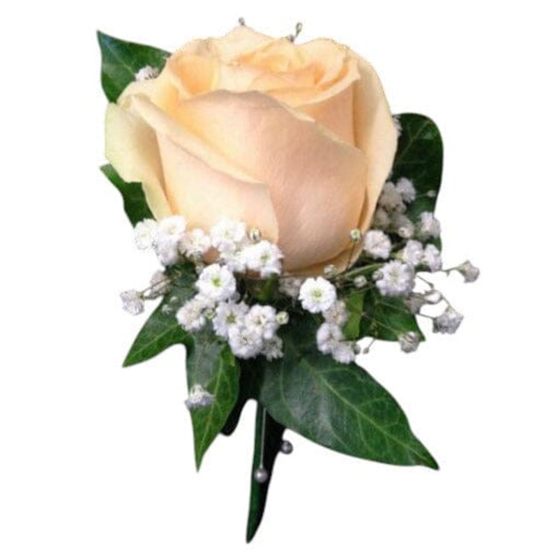 Peach Roses and Gypsophila Buttonhole