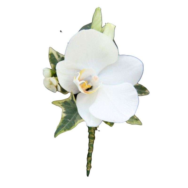 Phalaenopsis Orchids Buttonhole